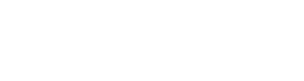 DT Global