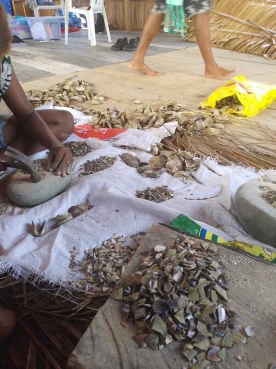 Shell preparation for traditional craftsmanship