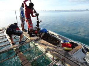 McLeods Pearls – Lagoon Farming Operations