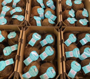 Box of Coconuts by Samoan Natural Foods with tag