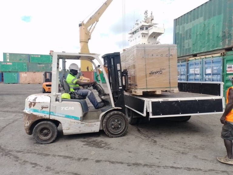 Port Logistics – Forklift Loading Cargo