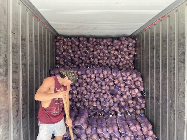 Samoan Natural Foods Coconuts being loaded in container