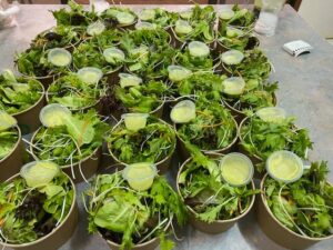 CI Good Way Farm Fresh Produce Packs