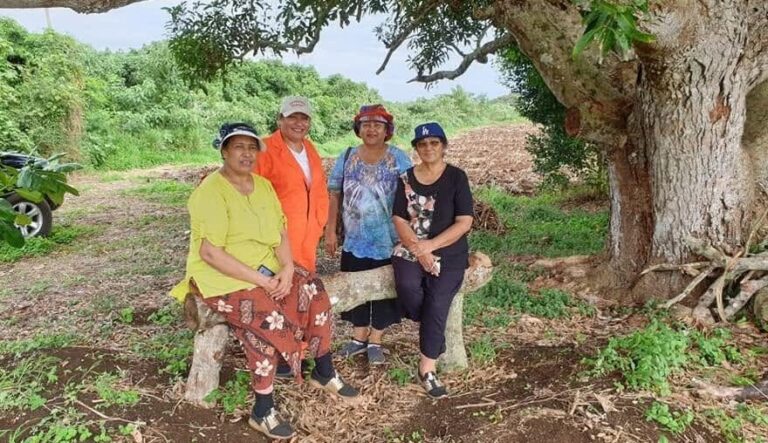 Lotopoha Export Trading Tonga