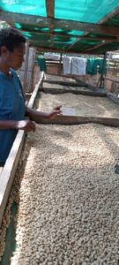 Coffee beans toating process