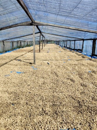 Agricultural Storage and Distribution – PNG Highlands