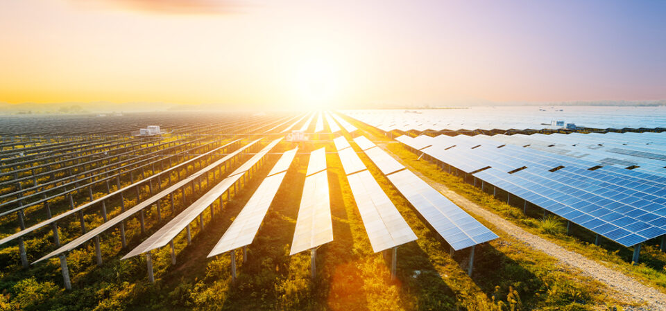 Large solar panel farm at sunrise
