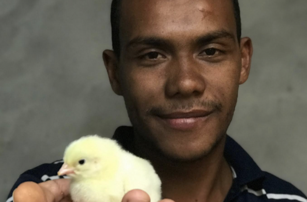 A man is showing a small chicken