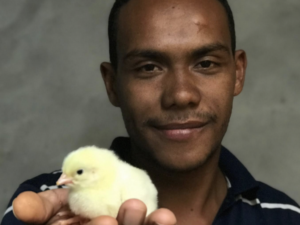 A man is showing a small chicken In the Pacific Islands
