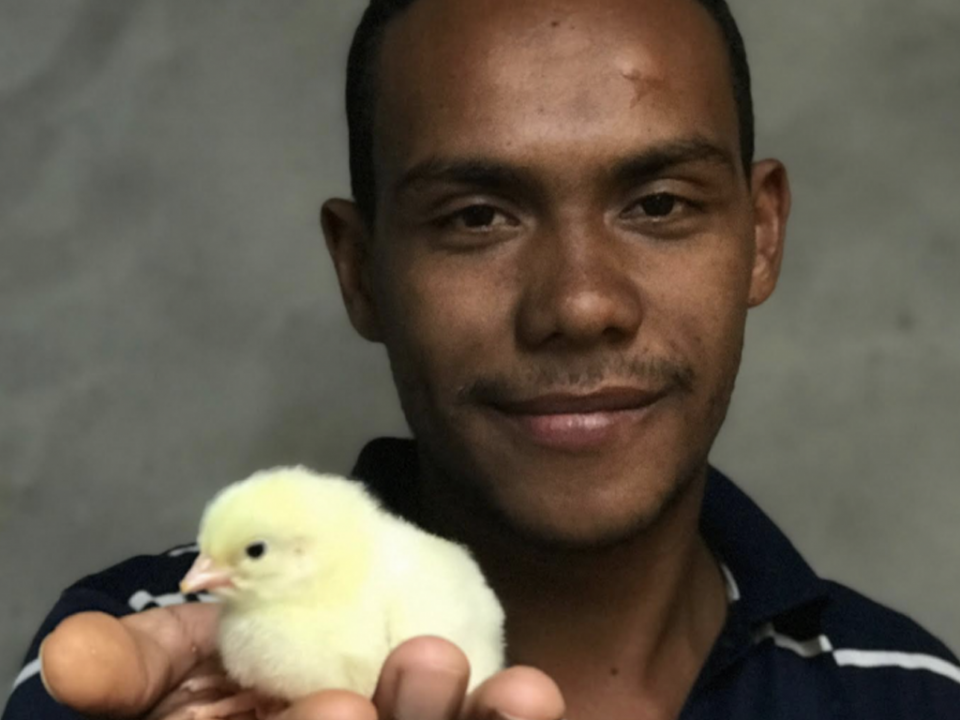 A man is showing a small chicken