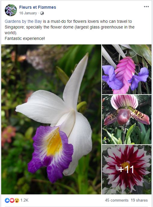 post on social media with flower images