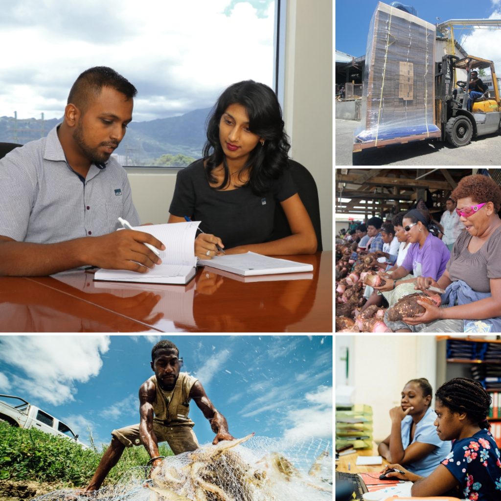 People working in different roles & industries in the Pacific Islands
