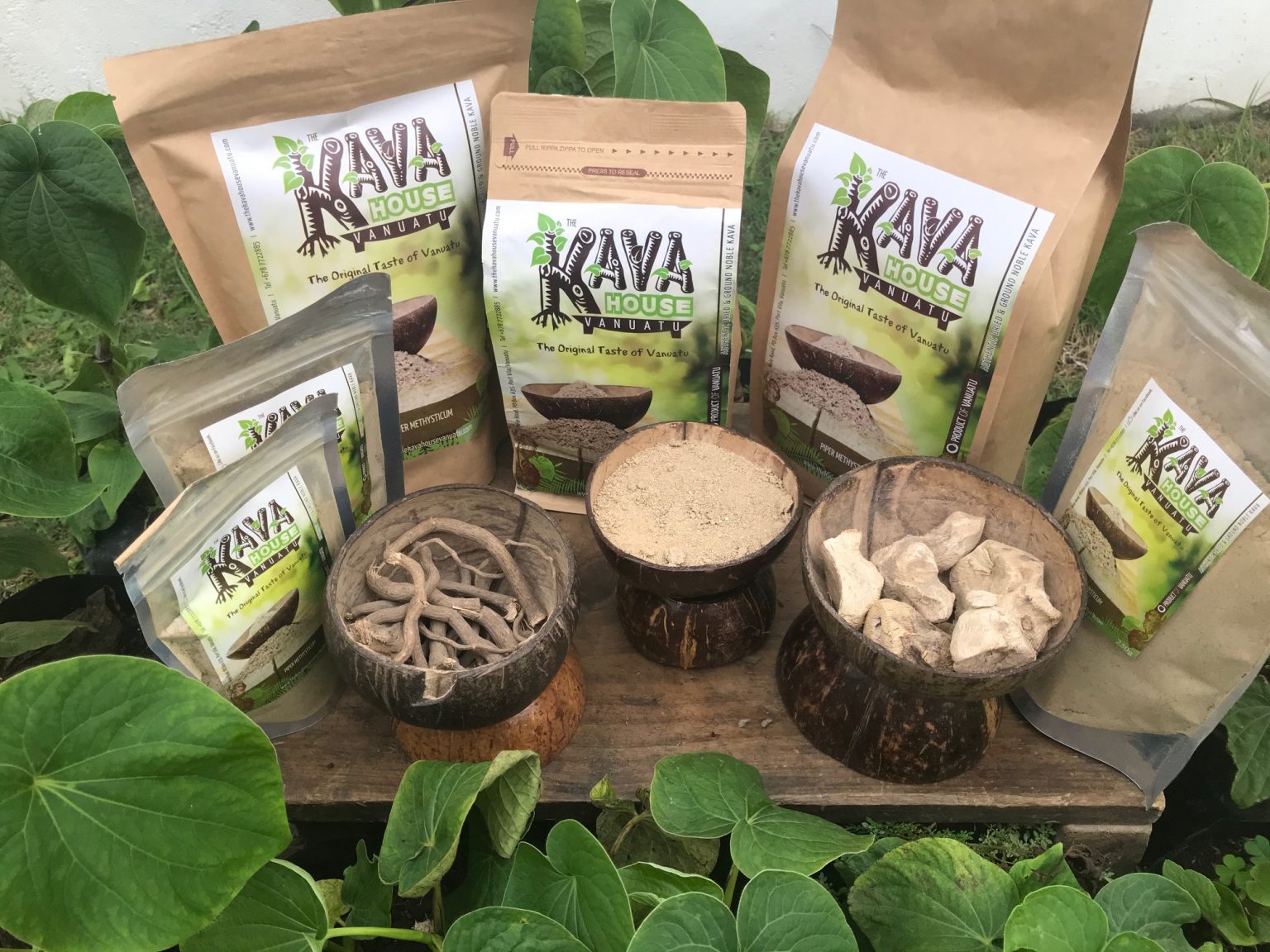 The Kava House Vanuatu increases brand awareness BLP