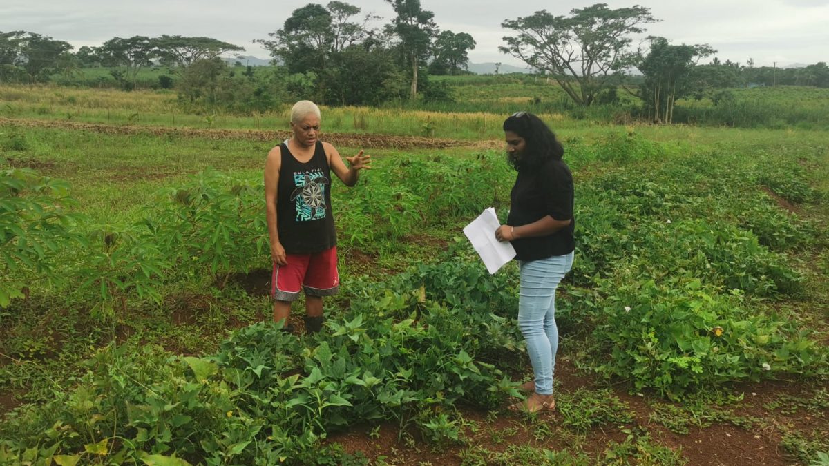 A woman gives instructions on how to make the land productive
