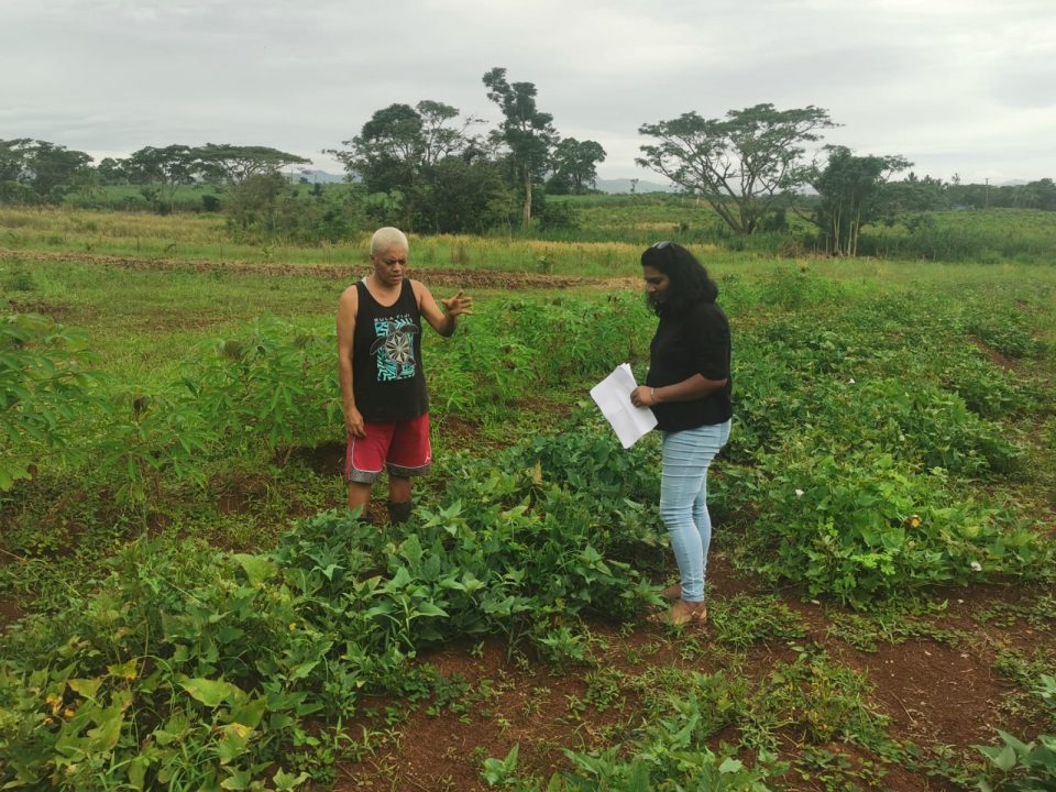 A woman gives instructions on how to make the land productive