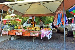 Cook Island Market holder