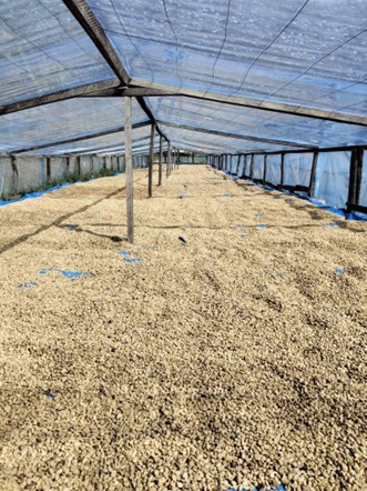 Agricultural Storage and Distribution – PNG Highlands Agricultural Storage and Distribution – PNG Highlands