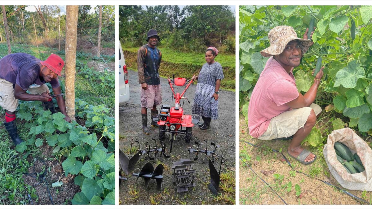Collage of Vatuniveivuke Enterprise small-scale farming activities