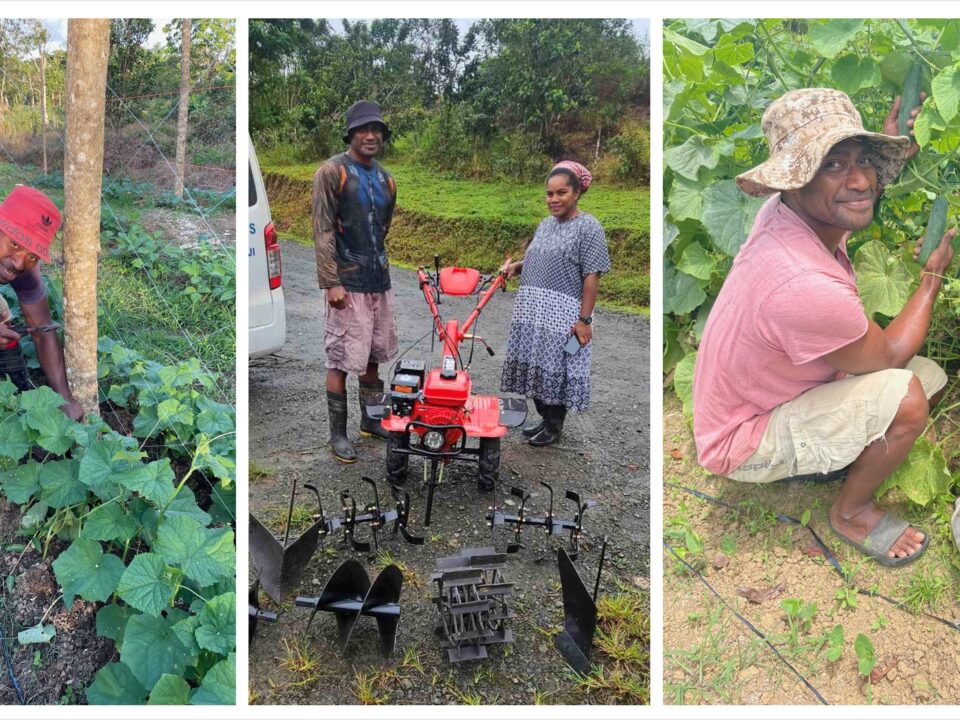 Collage of Vatuniveivuke Enterprise small-scale farming activities